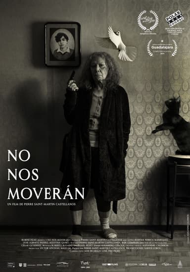 Poster du film No Nos Moveran